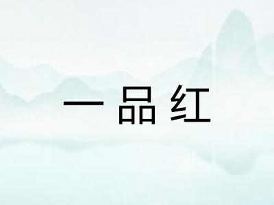 一品红