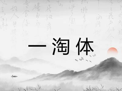 一淘体
