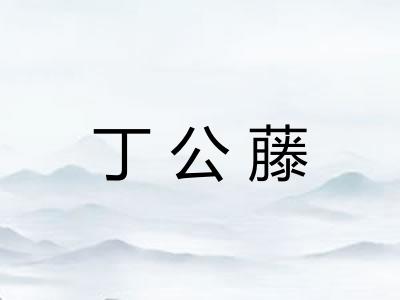 丁公藤