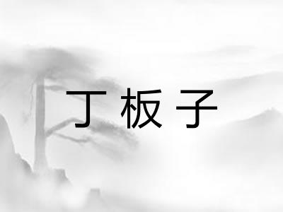 丁板子
