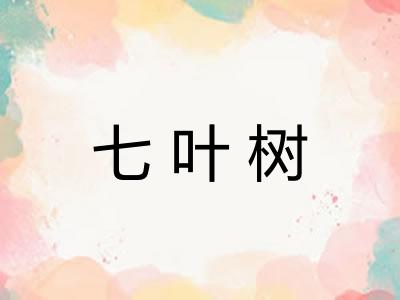 七叶树
