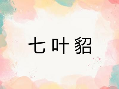 七叶貂