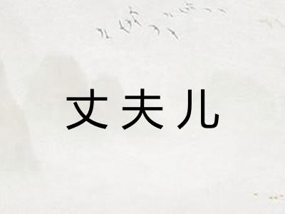 丈夫儿