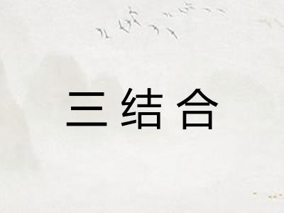 三结合