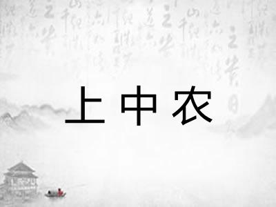 上中农