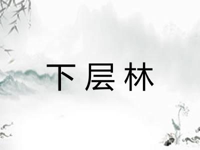 下层林