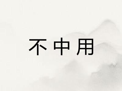 不中用