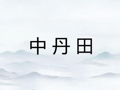 中丹田