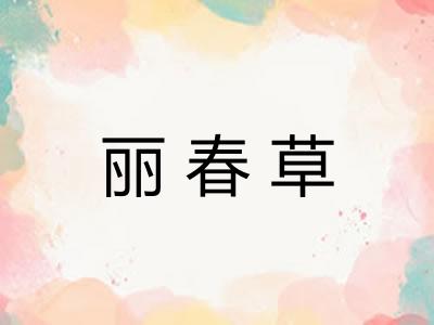 丽春草
