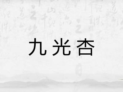 九光杏