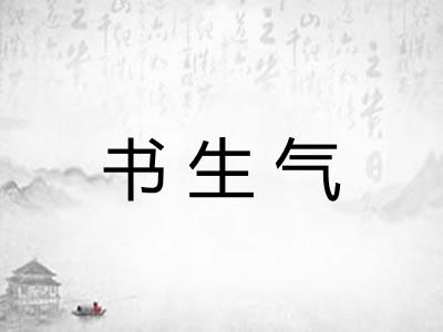 书生气