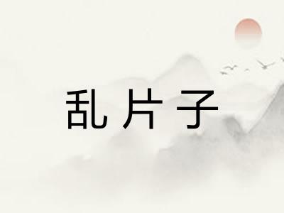 乱片子