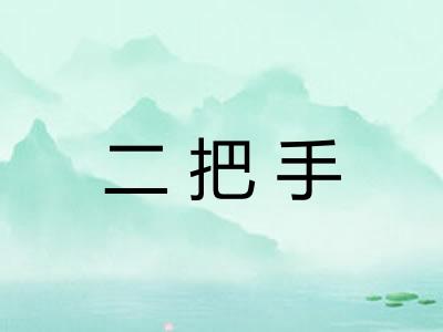 二把手