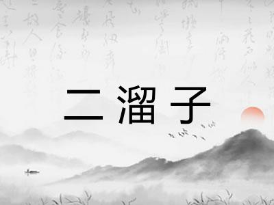 二溜子