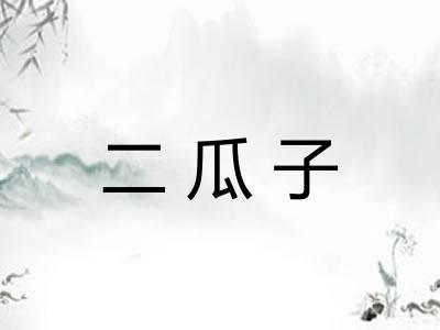 二瓜子