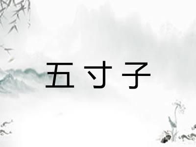 五寸子