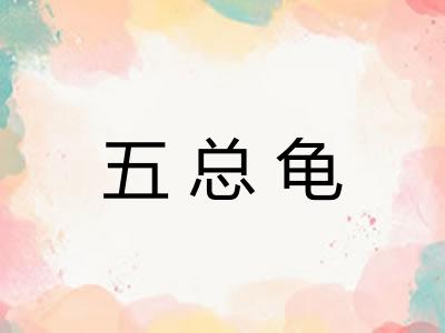 五总龟