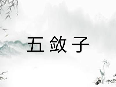五敛子