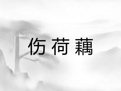 伤荷藕