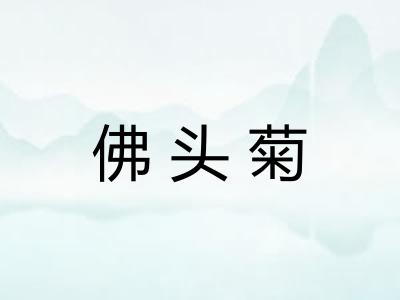 佛头菊