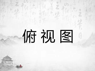 俯视图
