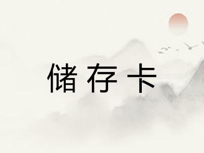 储存卡