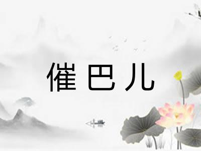 催巴儿