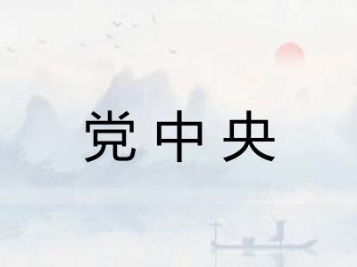 党中央
