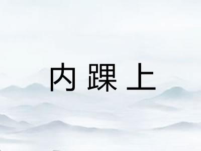 内踝上