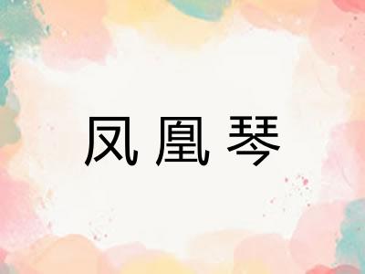 凤凰琴