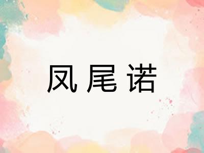 凤尾诺