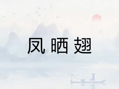 凤晒翅