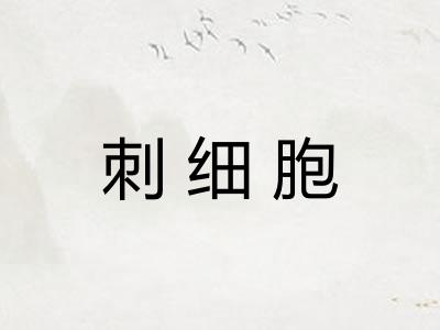 刺细胞