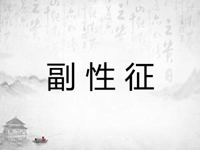 副性征