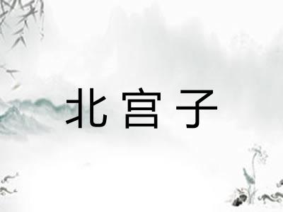 北宫子