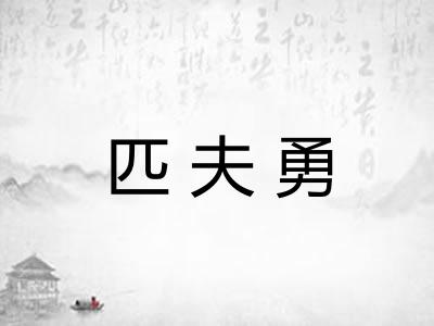匹夫勇