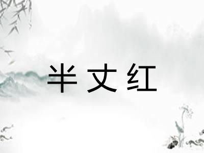 半丈红