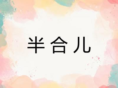 半合儿