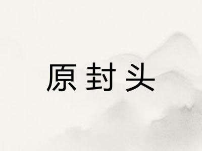 原封头