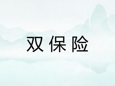 双保险