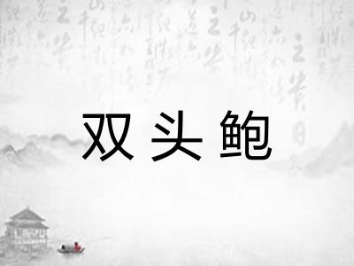 双头鲍