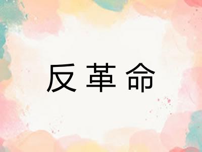 反革命