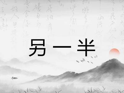 另一半
