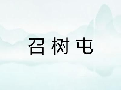 召树屯