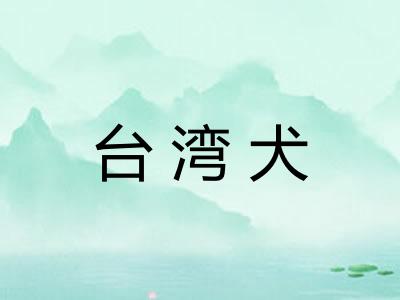 台湾犬