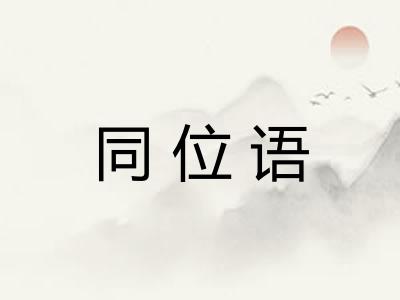 同位语