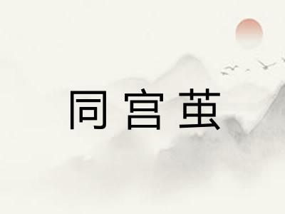 同宫茧