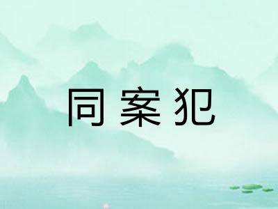 同案犯