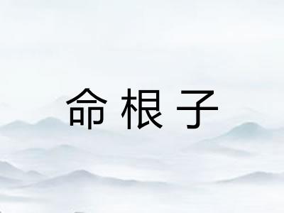 命根子