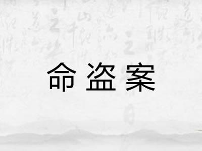 命盗案